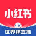 小红书 3